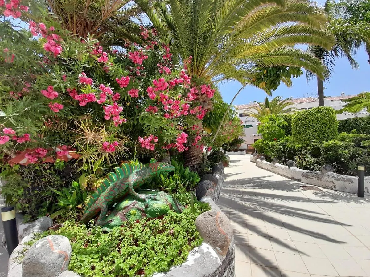Parque Don José 389 Appartamento Arona   Arona (Tenerife)